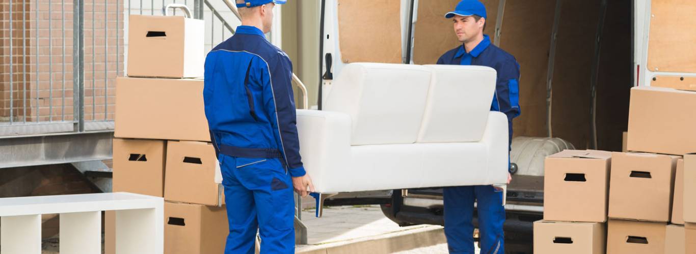 Moving and Packing Services